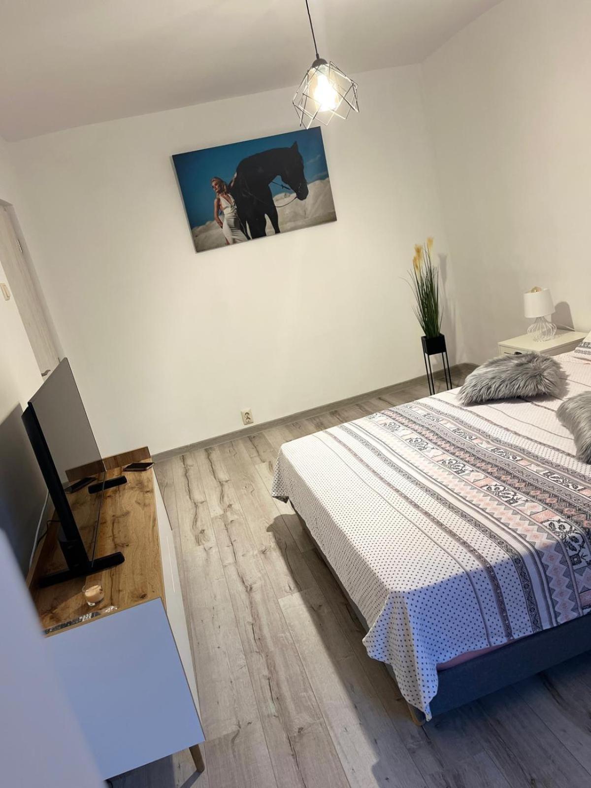 Apartament De Lux كرايوفا المظهر الخارجي الصورة